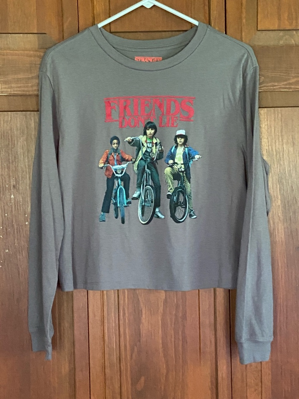 Stranger Things Long-Sleeve Graphic Tee - Grey "Friends Don't Lie"